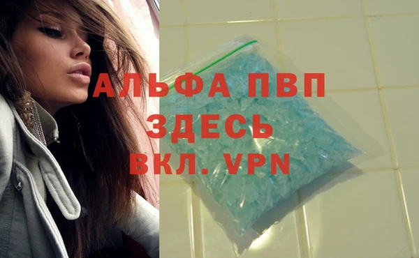 индика Богданович