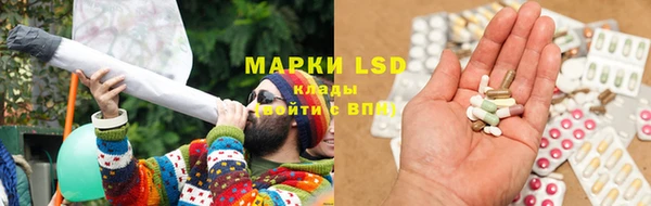 индика Богданович