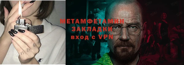 индика Богданович