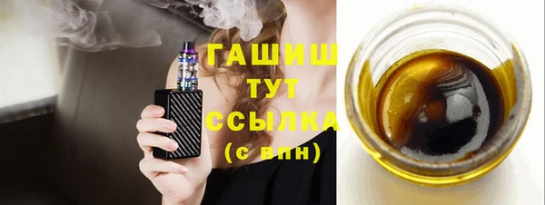 индика Богданович
