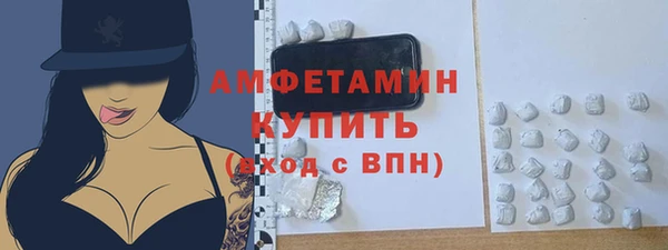 индика Богданович