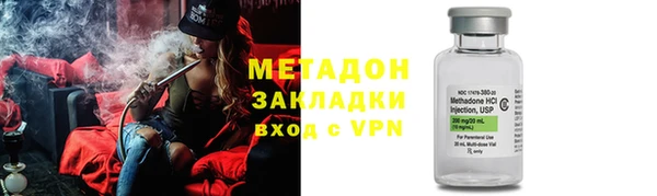 индика Богданович