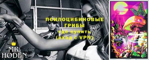 индика Богданович