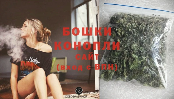 индика Богданович