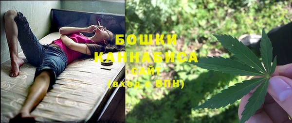 индика Богданович