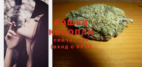 индика Богданович