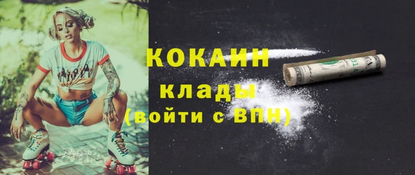 индика Богданович