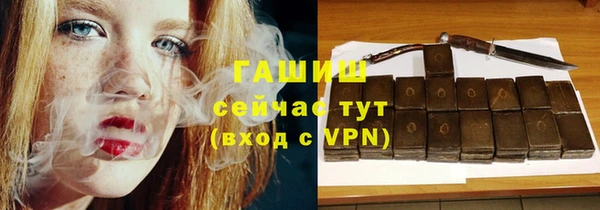 индика Богданович